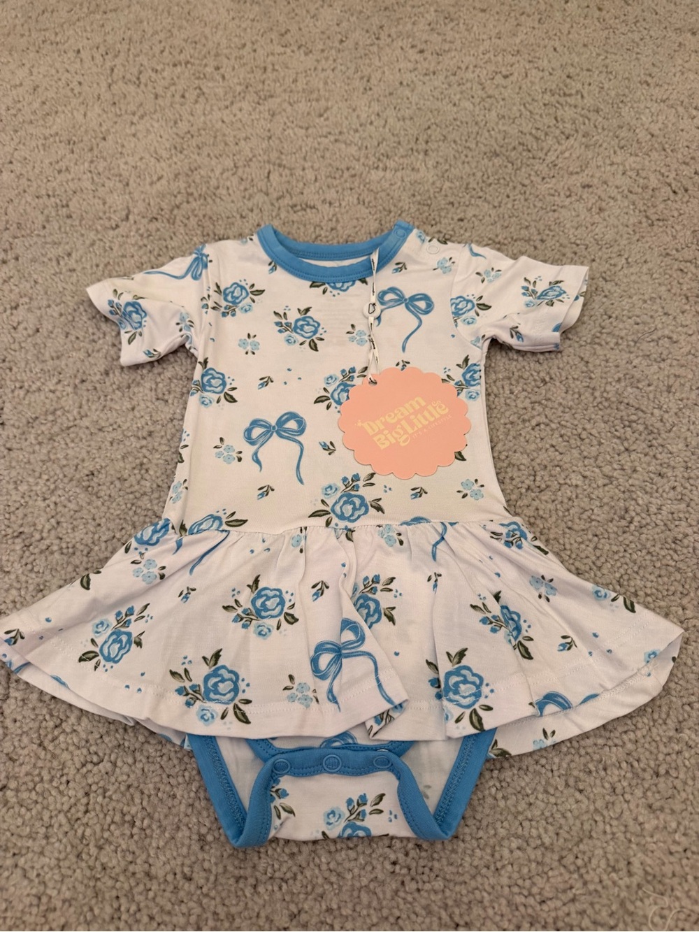 Dream Big Little Blue Floral Baby Dress Bodysuit